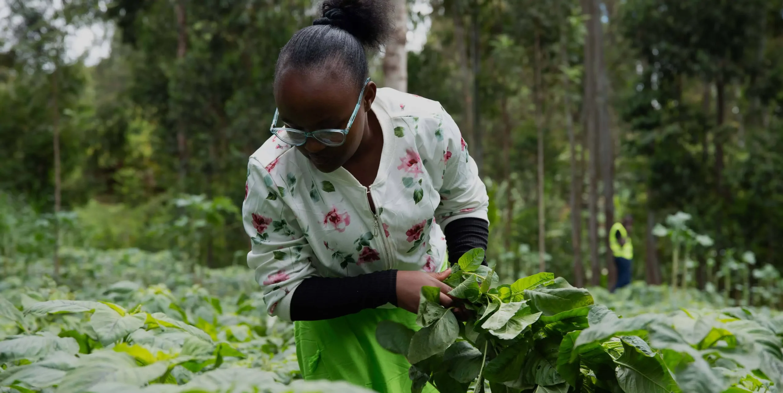Improving economic opportunities for all