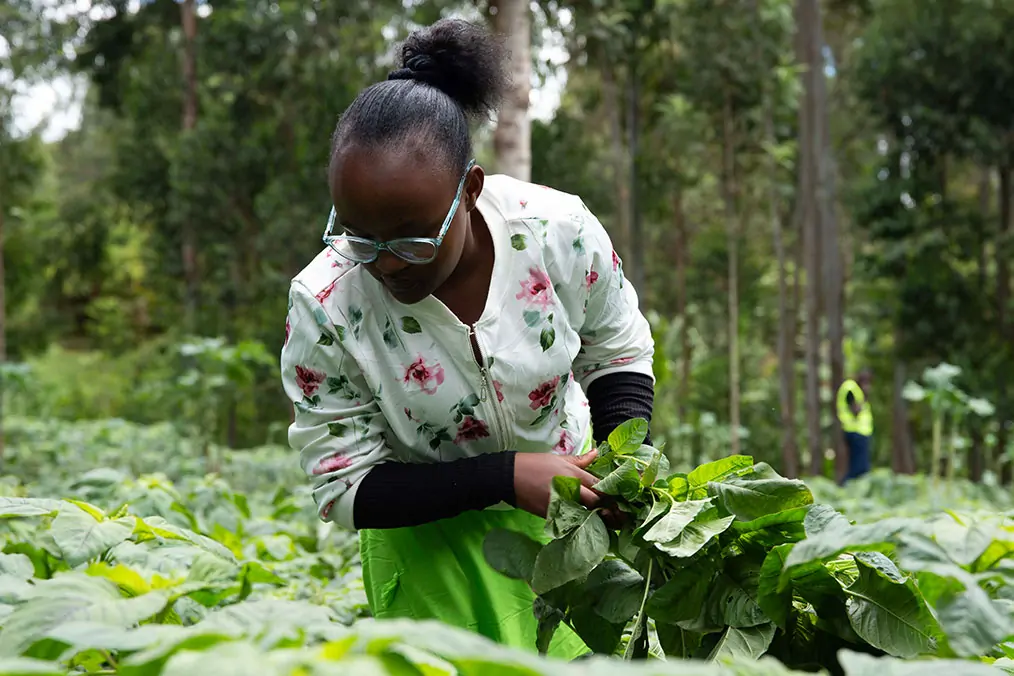 IMPROVING ECONOMIC OPPORTUNITIES FOR ALL