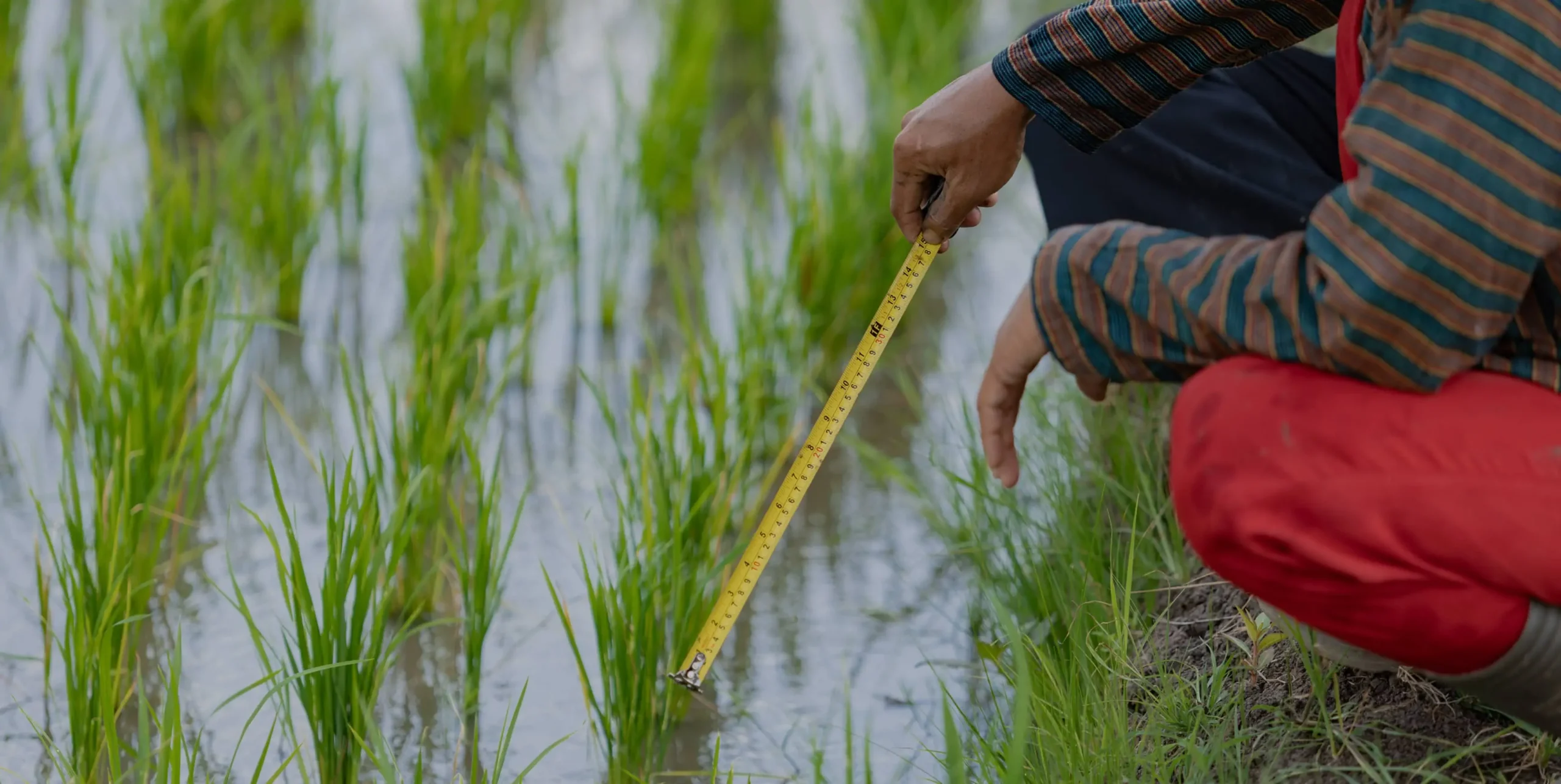 Strengthening adaptation and resilience