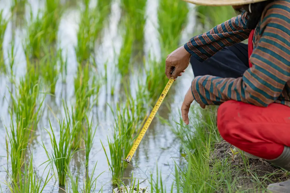 STRENGTHENING ADAPTATION AND RESILIENCE