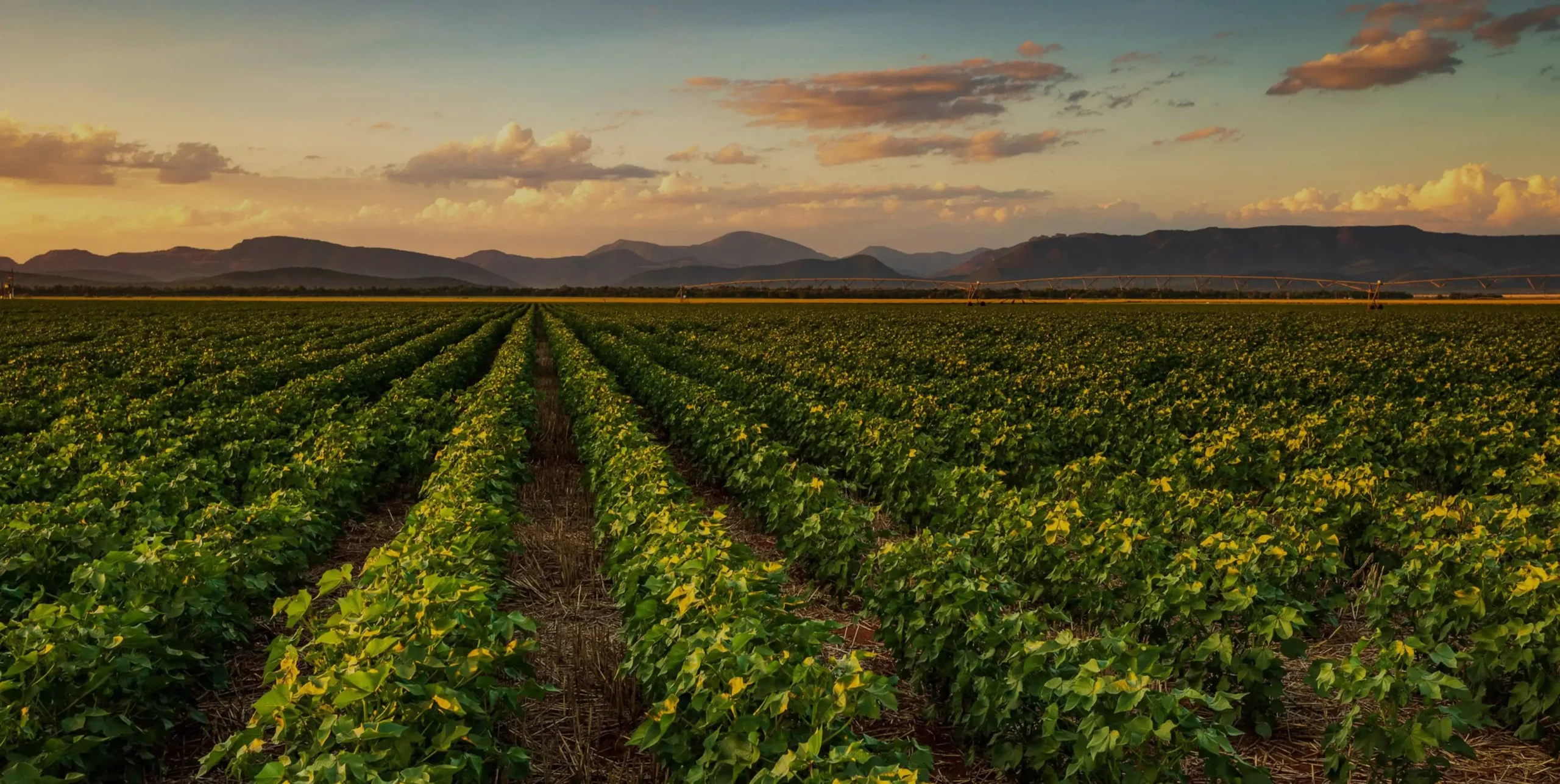 Mobilising private capital at scale for climate and development