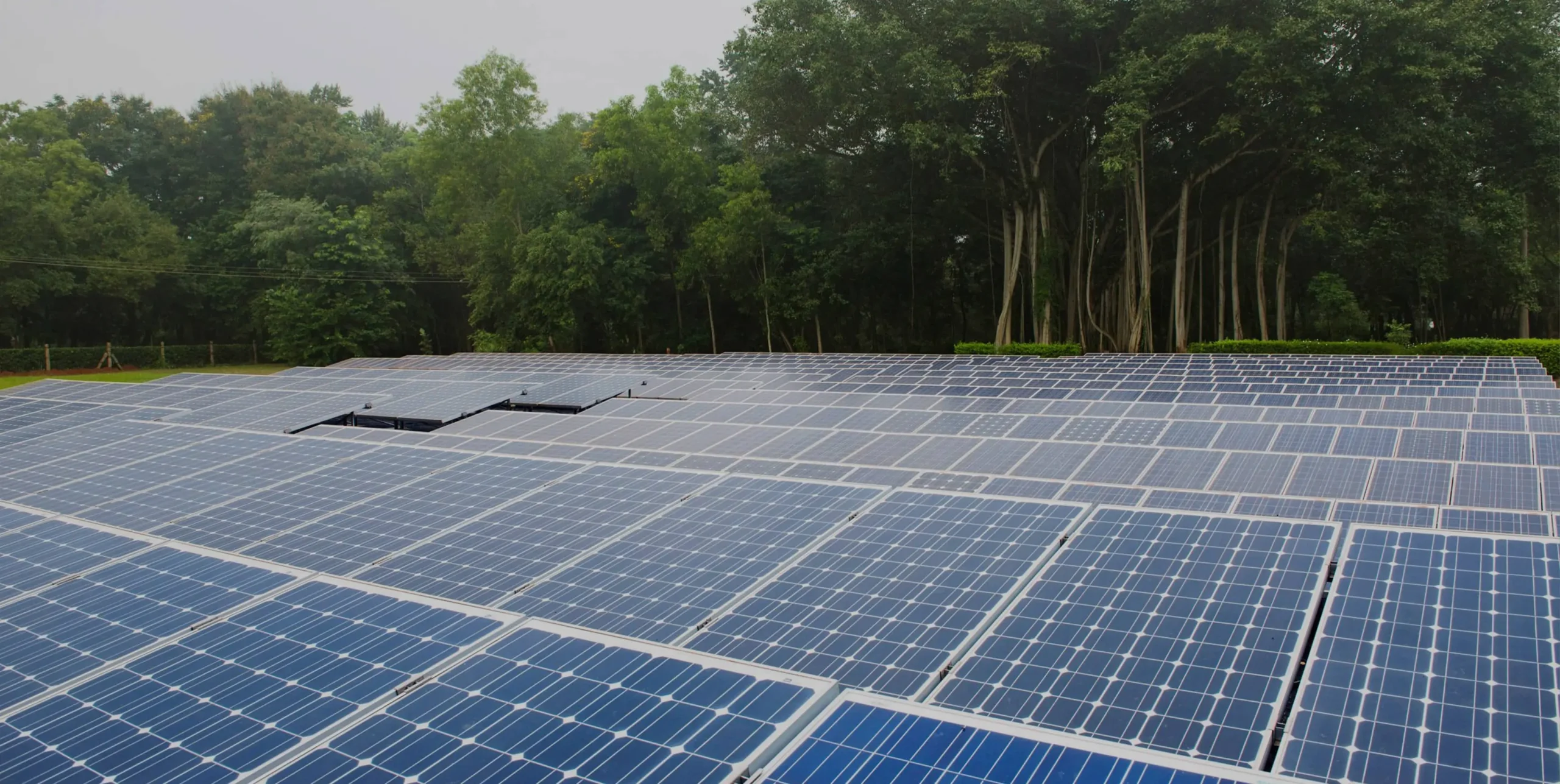 Helping India achieve its energy transition goals