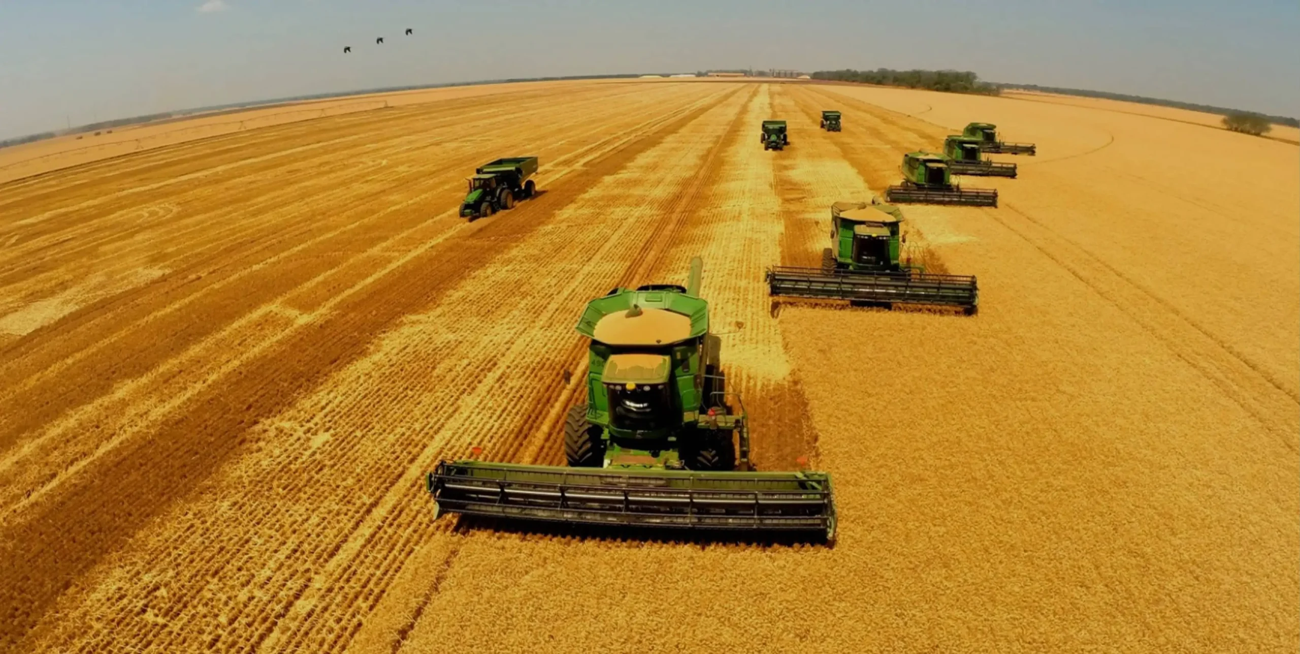 Strengthening food security and sustainable livelihoods in Zambia